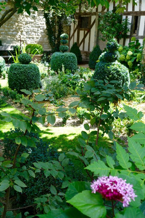 Le Jardin De La Cathedrale Bed & Breakfast Troyes Dış mekan fotoğraf